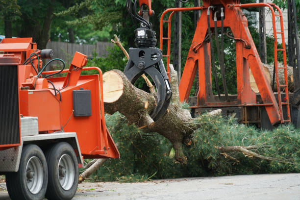 Landscape Design and Installation in Cumberland Head, NY